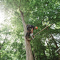 Stihl MS 151TCE Gasoline Chainsaw