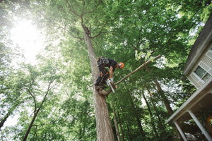 Stihl MS 151TCE Gasoline Chainsaw