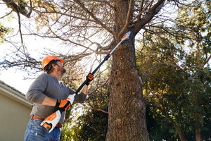 Stihl HTA 50 Battery Powered Pole Pruner Kit w/ AK20, AL101